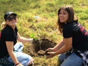 Two women planting a tree