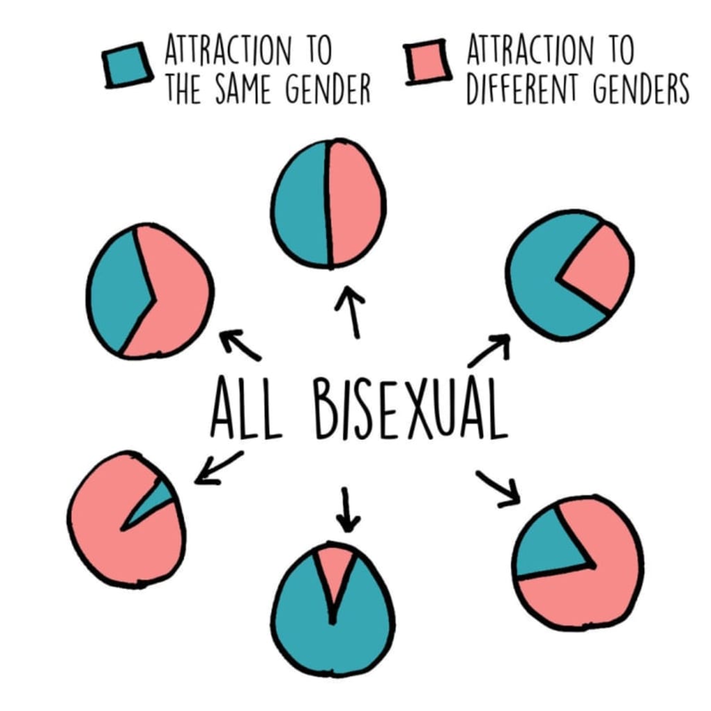 An image of pie charts the represents gender preferences between bisexual people.