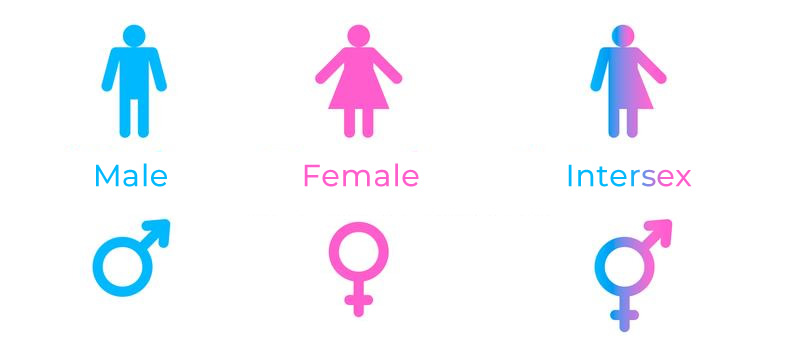 An image illustrating the variation between the male, female and intersex logos.
