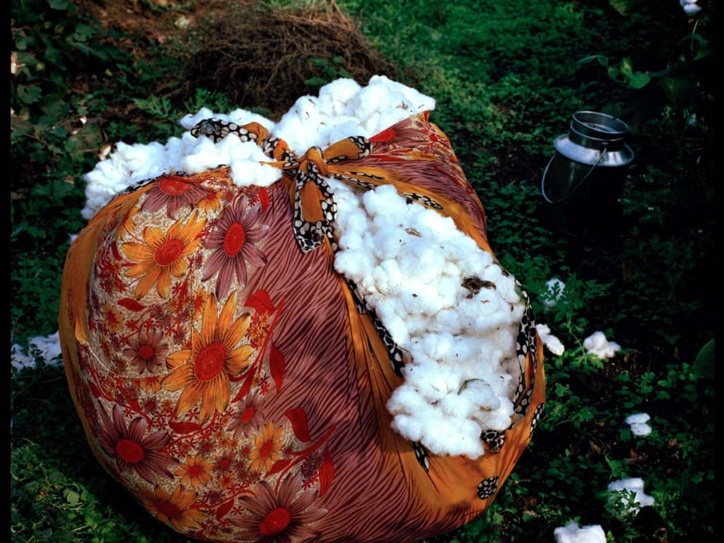 Image of a bale of cotton which was collected in India 