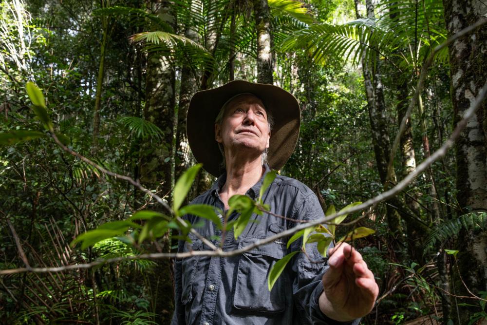 Botanist Robert Kooyman in Nightcap national park. Photograph: Natalie Grono/The Guardian.