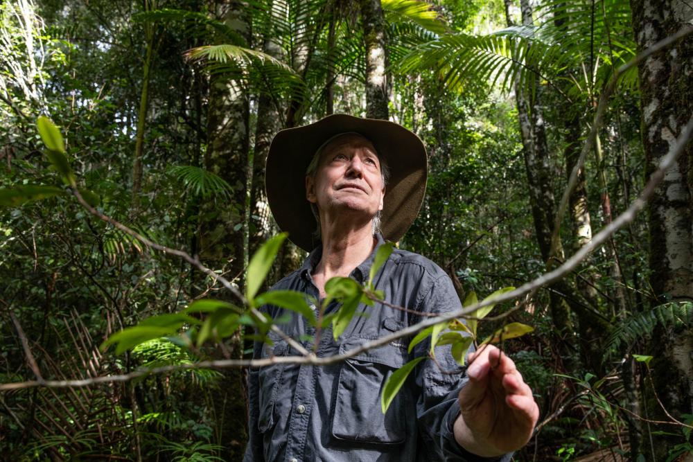 Botanist Robert Kooyman in Nightcap national park. Photograph: Natalie Grono/The Guardian. 