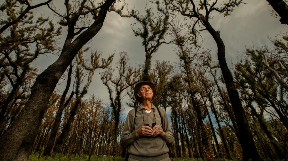 “What sort of a world would it be without birds?” asks Bob Semmens, an 87-year-old retired park ranger / Photograph by The Guardian.