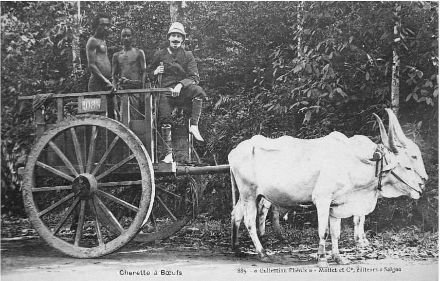 Tamil carters. Photo reproduced via Natasha Pairaudeau's article.