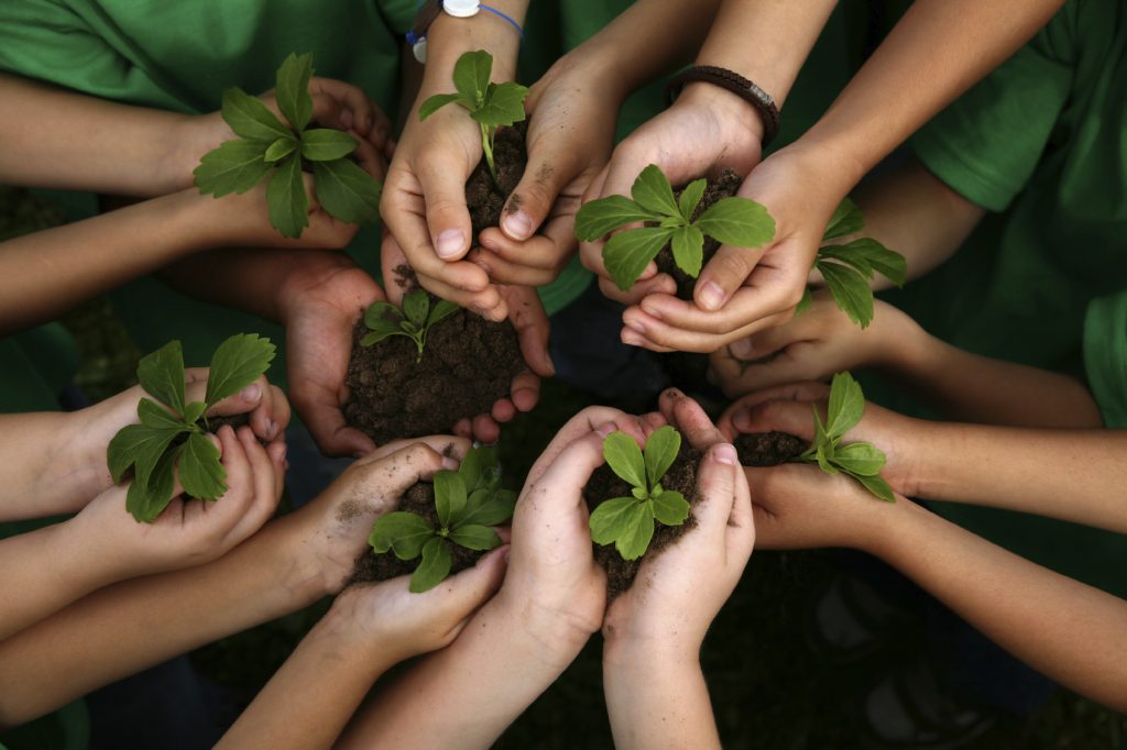 An image of many hands holding plants with soil in their palms.