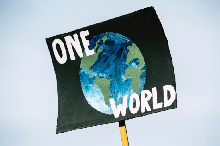 An image of a poster with a drawing of the Earth and the words "One World" on it.  