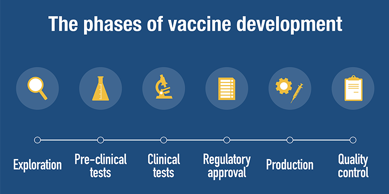 Image of the phases of vaccine development within the clinical trial process