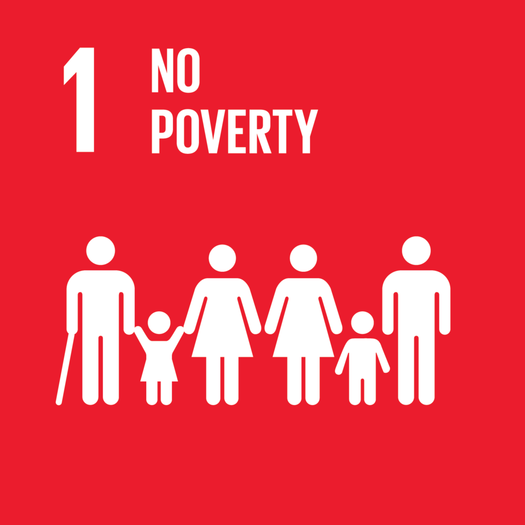 Image of the No Poverty SDG