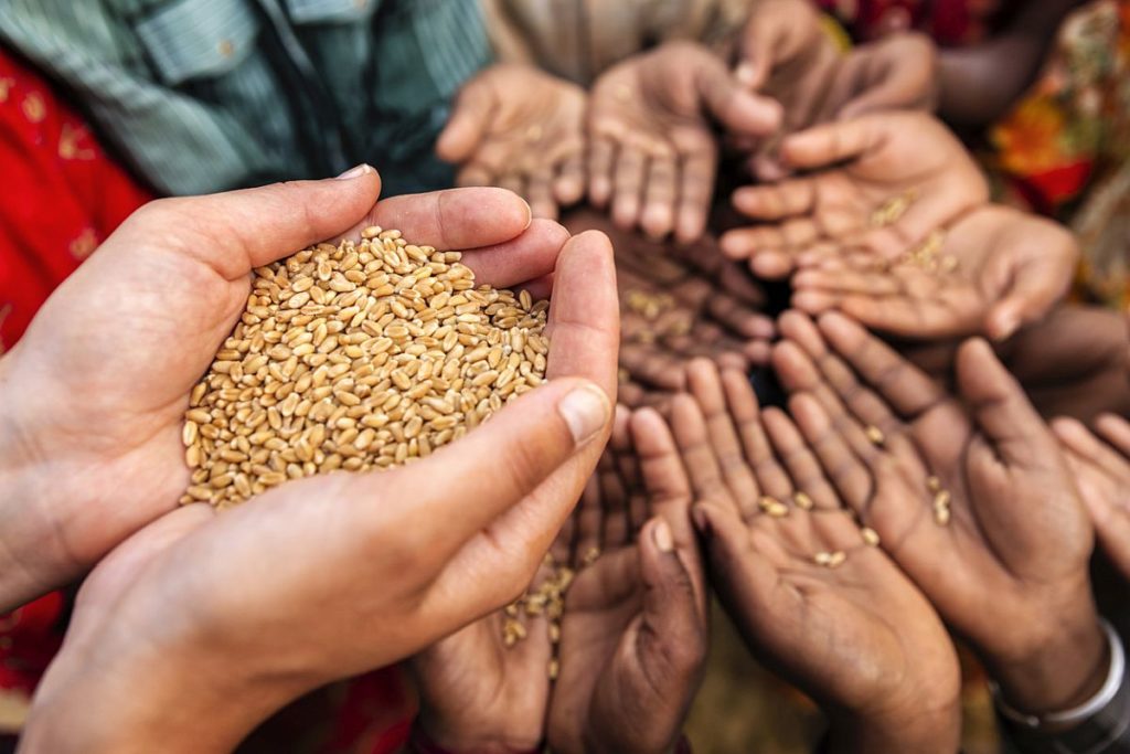 Image of a hand filled with rice grains passing it to the hands of others. 