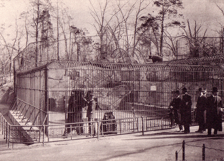 A vintage picture of visitors looking an bears held in iron cages in Central Park Zoo