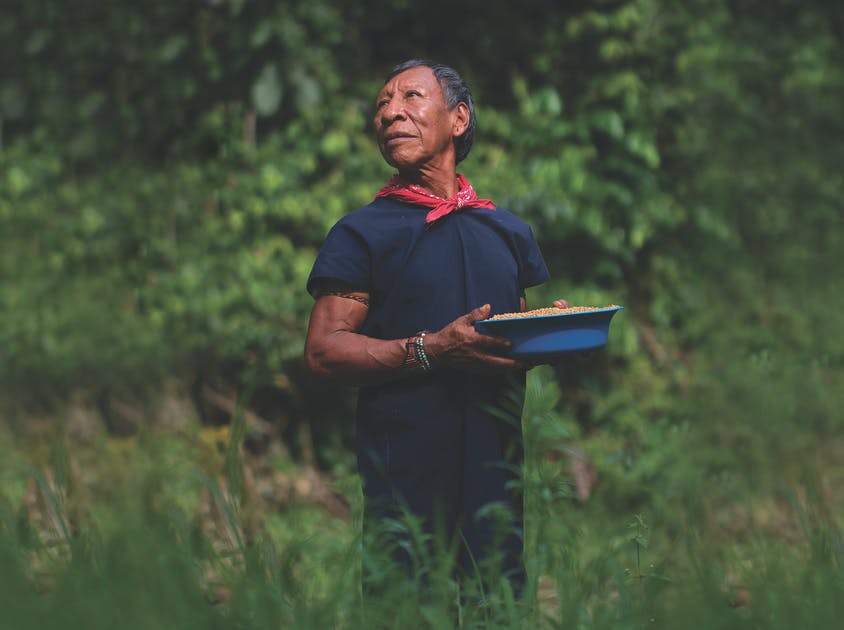 A photo of an indigenous man with his head held up high while holding grains.