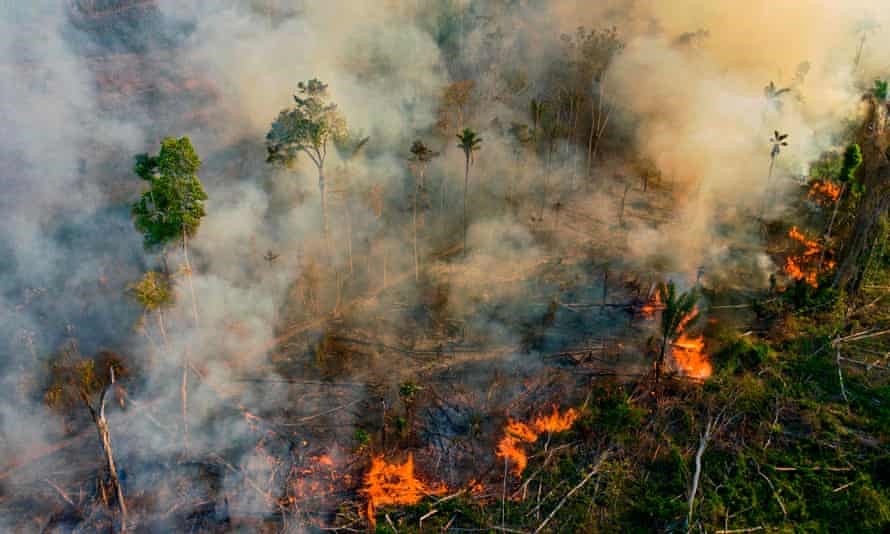 An image showing forest fire in the Amazon rainforests