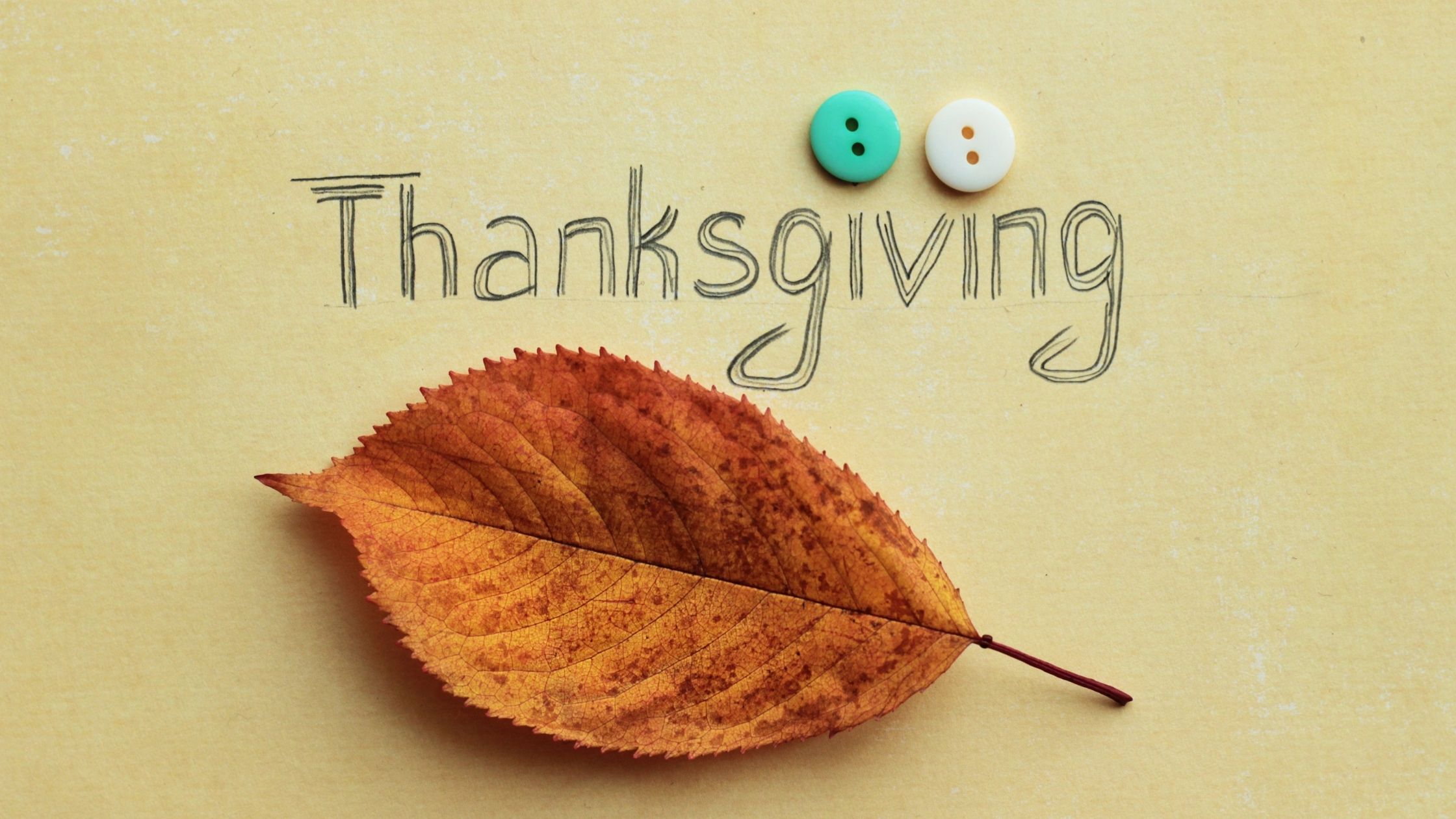 a blog banner design with a leaf with words "thanksgiving" written on top of it