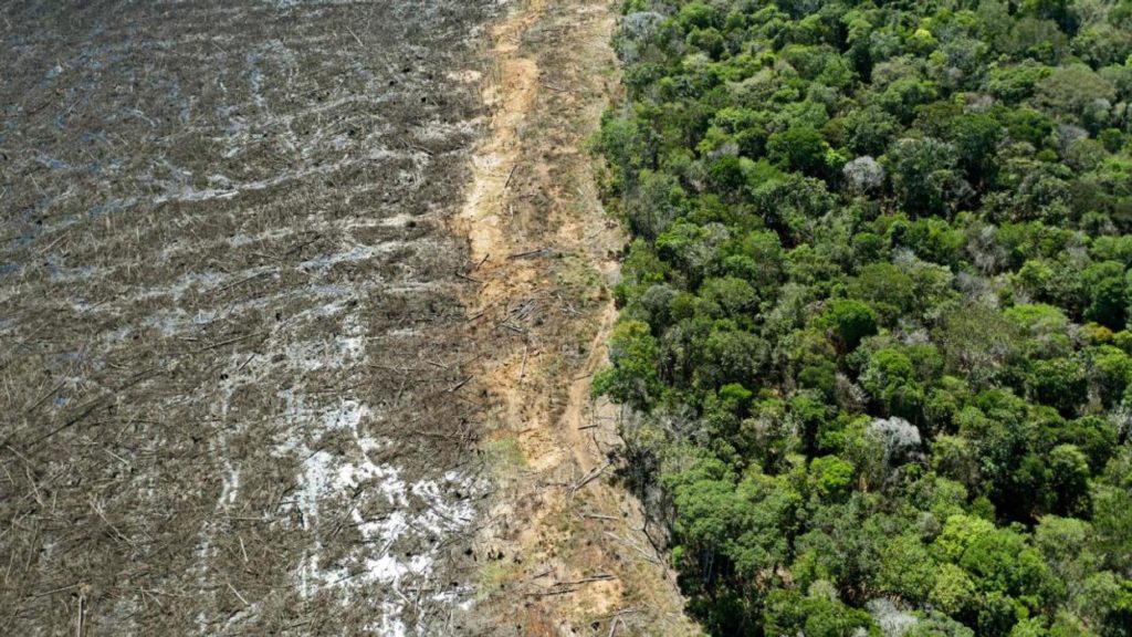Photo of deforestation