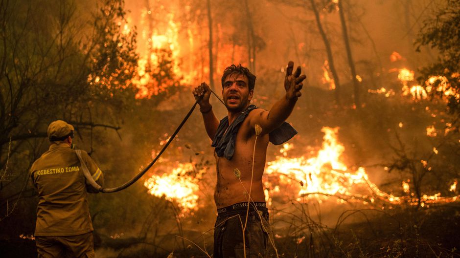 Image of firemen fighting forest fires,