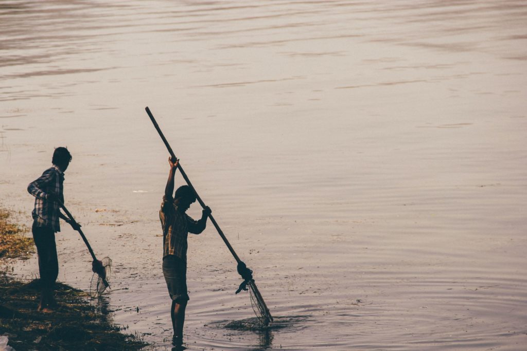 The image of local men fishing in the backwaters of the Sundarbans.