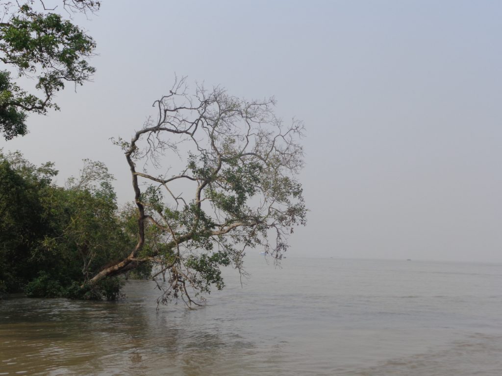 The backwaters of the Sundarbans.
