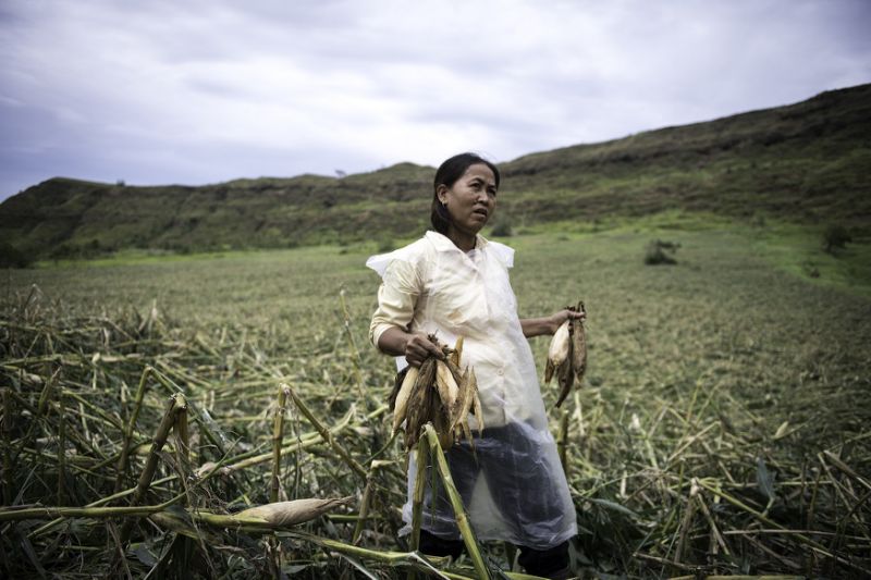 Image of a Filipina farmer whose crops were destroyed by typhoon Mangkhut