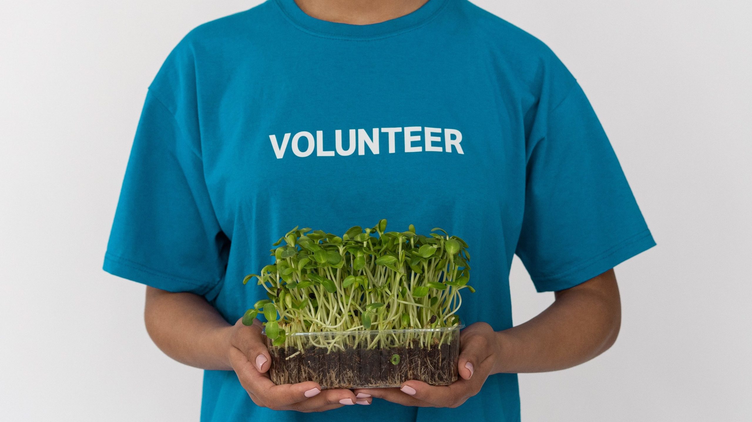 Photo of person in a shirt saying 'volunteer' and holding a container with plants.