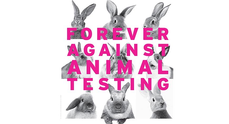 A Voice for the Voiceless: Banning Animal Testing in the Cosmetics Industry