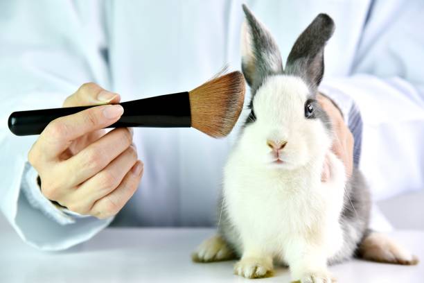 Lab testing done on animals sin the cosmetic industry