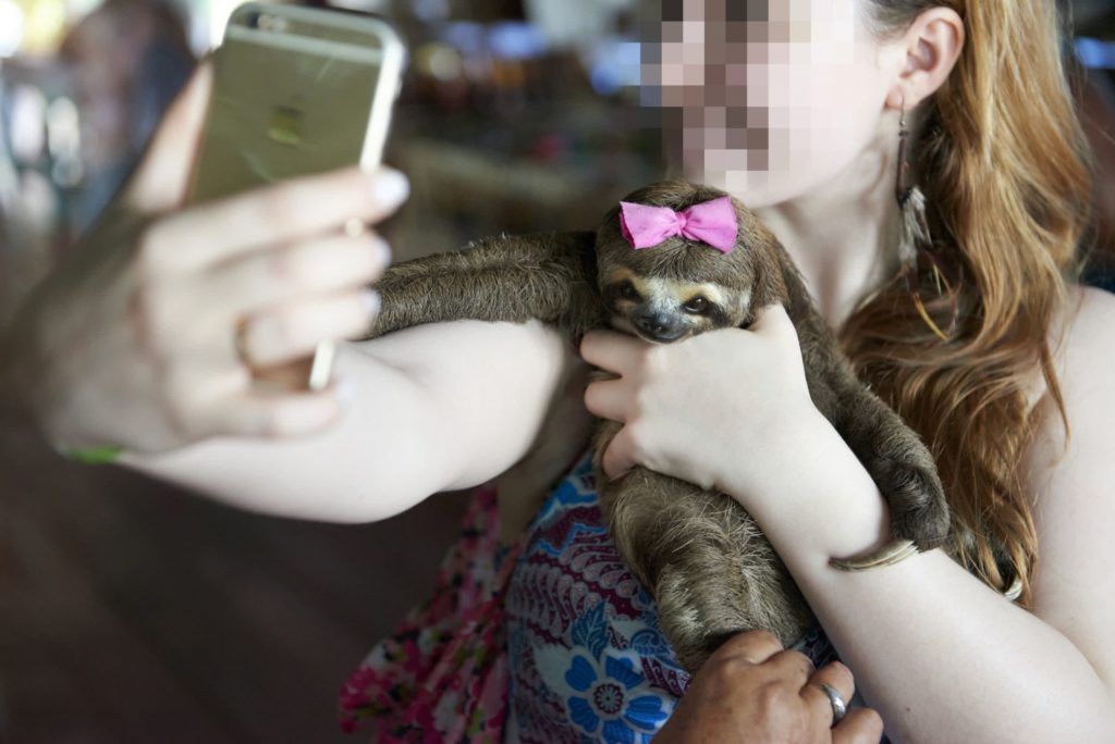 Women holding a sloth to take a selfie with it.