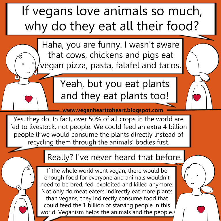 comic on why vegans "eat animals' food".