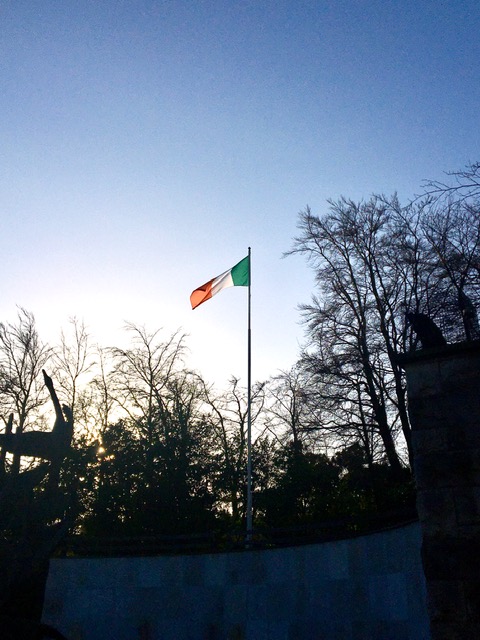 A photograph taken within the Garden of Remembrance in Dublin, Republic of Ireland. The photograph shows the flagpole at the back of the Garden, bearing the Irish flag (a green, white, and orange tricolor). The flagpole is surrounded by tall, dark trees without leaves. The sky is dark with low-hanging winter sun.